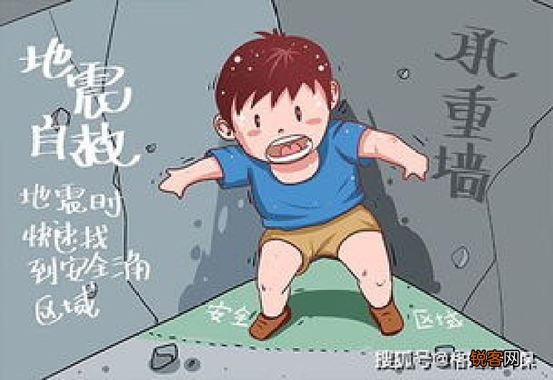 白果和开心果一样吗