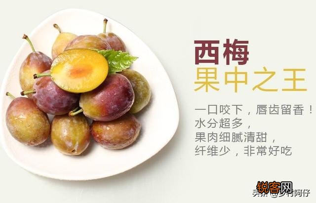 智利西梅好还是澳洲西梅好？