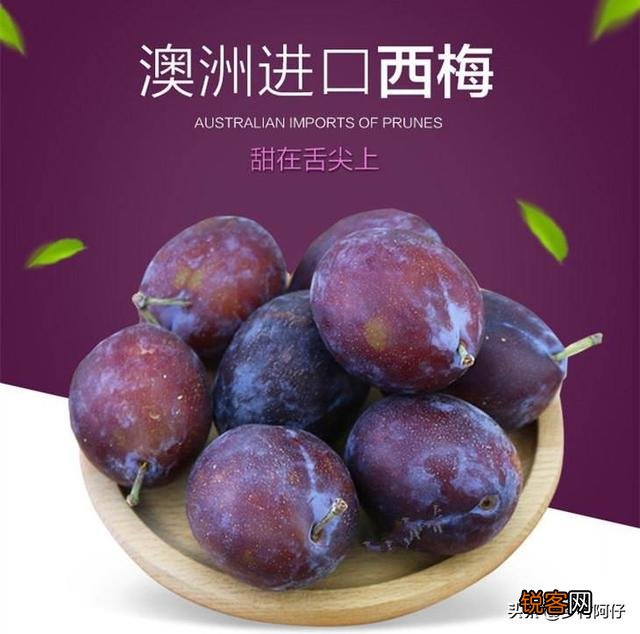 智利西梅好还是澳洲西梅好？