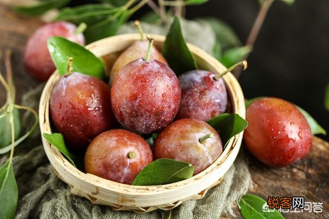 孕妇能不能吃西梅？饮食需要注意什么？