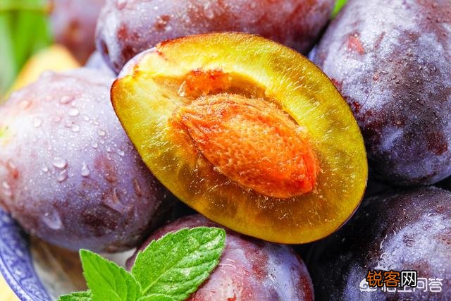 孕妇能不能吃西梅？饮食需要注意什么？