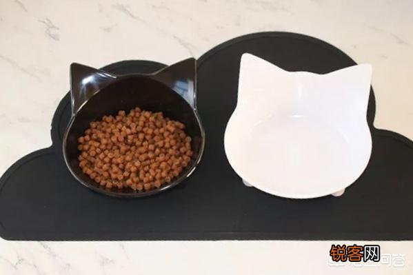 养一只俄罗斯蓝猫是一种怎么样的感觉？