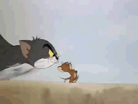 《猫和老鼠》里的杰瑞、汤姆、泰菲和斯派克,放现实中都是什么品种的动物？