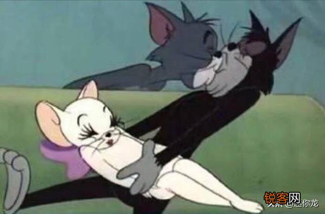 《猫和老鼠》里的杰瑞、汤姆、泰菲和斯派克,放现实中都是什么品种的动物？