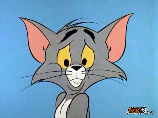 《猫和老鼠》里的杰瑞、汤姆、泰菲和斯派克,放现实中都是什么品种的动物？