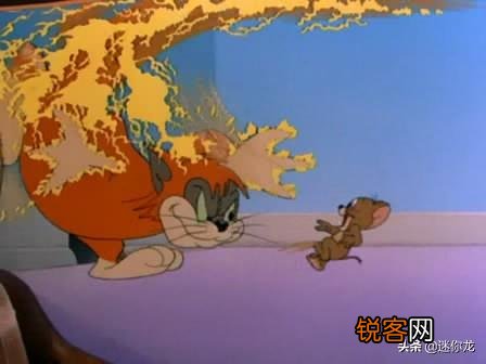 《猫和老鼠》里的杰瑞、汤姆、泰菲和斯派克,放现实中都是什么品种的动物？