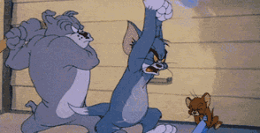 《猫和老鼠》里的杰瑞、汤姆、泰菲和斯派克,放现实中都是什么品种的动物？