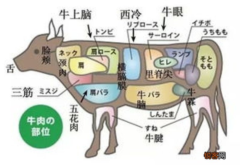 黄喉是什么部位