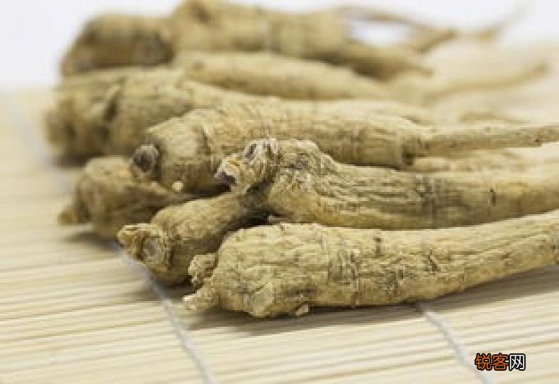 丹参和西洋参的区别 丹参和西洋参哪个好
