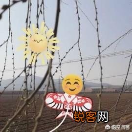 四月份哪几首歌曲很火？
