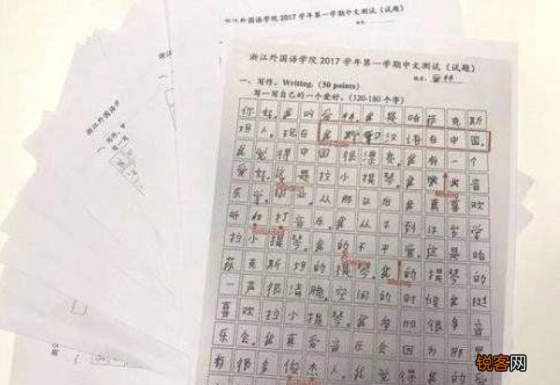 我的大学老师作文