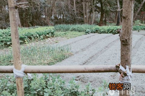 侵占他人承包土地是什么罪？ 侵占他人承包土地是什么罪