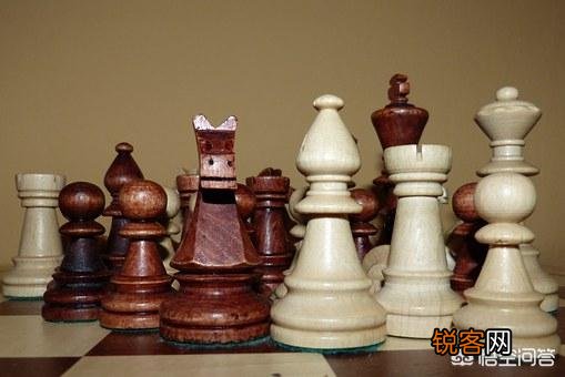 有哪些比较专业的玩国际象棋的软件？