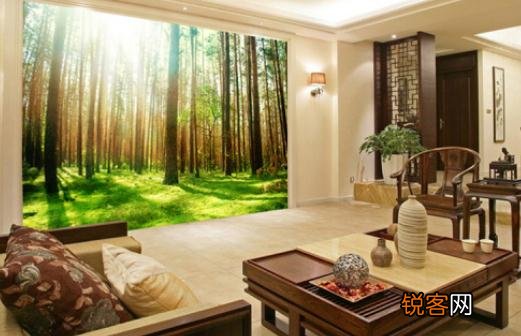 客厅装饰画的清洁与保养方法 客厅装饰画的清洁与保养方法视频