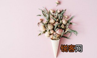 描写花朵的优美句子 称赞花朵的句子