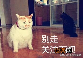 在不重置和重装的条件下,怎样把C盘清空只留下系统？