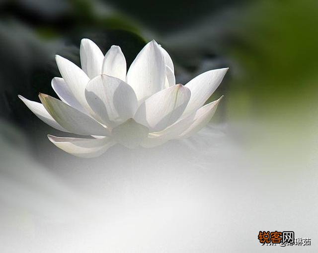 “一年三百六十日,风刀霜剑严相逼”,林黛玉的病是否与寓居贾府有关？