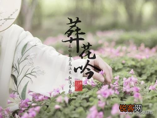 黛玉诗中的“一年三百六十天,风刀霜剑严相逼”,她具体在指向什么？