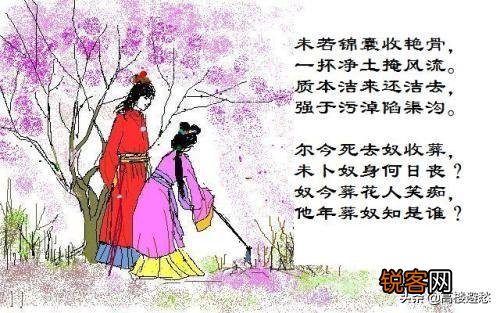 黛玉诗中的“一年三百六十天,风刀霜剑严相逼”,她具体在指向什么？