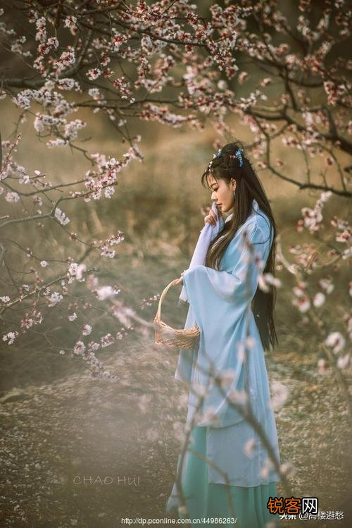 黛玉诗中的“一年三百六十天,风刀霜剑严相逼”,她具体在指向什么？