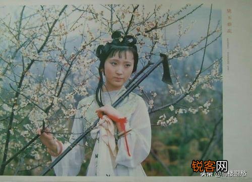 黛玉诗中的“一年三百六十天,风刀霜剑严相逼”,她具体在指向什么？