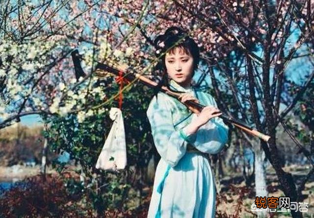 黛玉诗中的“一年三百六十天,风刀霜剑严相逼”,她具体在指向什么？