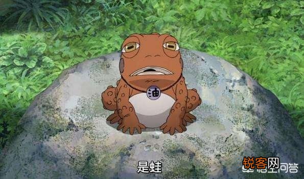 《火影》中圣地的动物在辉夜没有到地球之前是没有查克拉的,那他们是怎么掌握仙术的？