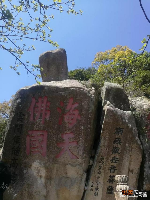侯门女的清净选择,惜春为何会出家？