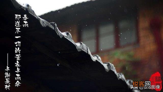 诗词摄影:“惜春春去,几点催花雨”的意境如何拍摄?
