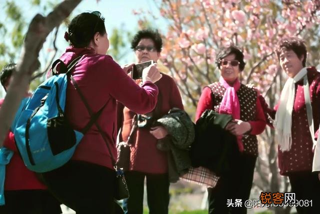 诗词摄影：“惜春春去,几点催花雨”的意境如何拍摄？