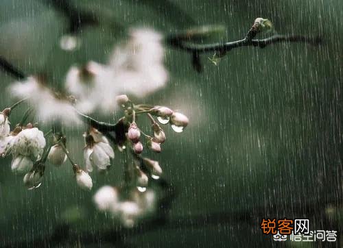 诗词摄影：“惜春春去,几点催花雨”的意境如何拍摄？
