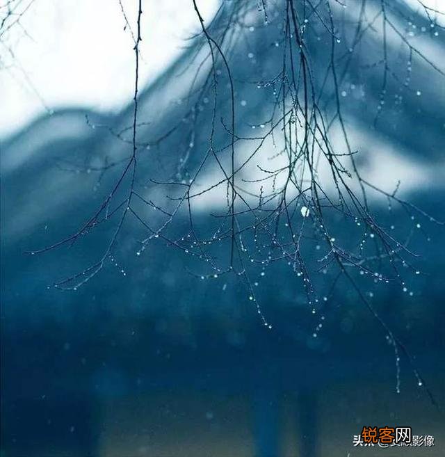 诗词摄影：“惜春春去,几点催花雨”的意境如何拍摄？