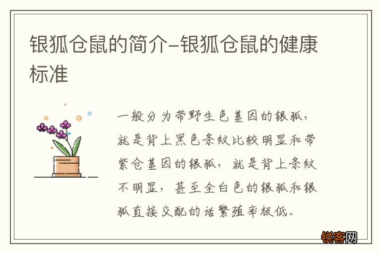银狐仓鼠的简介-银狐仓鼠的健康标准