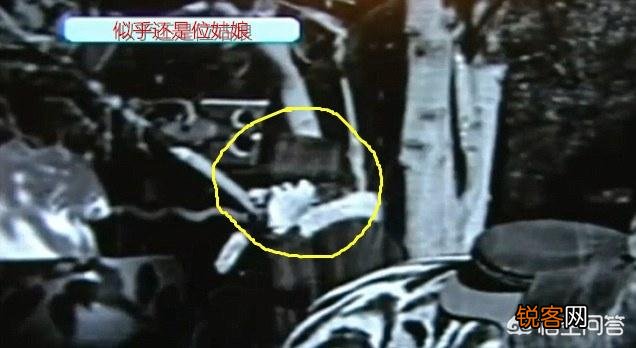 历史上最神秘的案件有哪些？