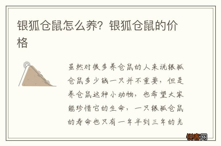 银狐仓鼠怎么养？银狐仓鼠的价格