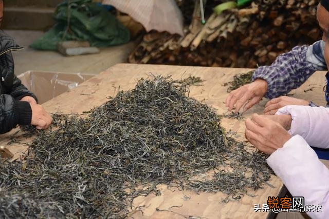 哪位知道有靠谱一点的网上卖茶的,有推荐吗？