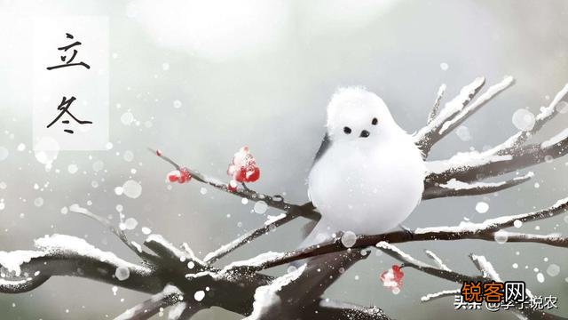 农村俗语“小雪不见雪,大雪满天飞”,你怎么理解？