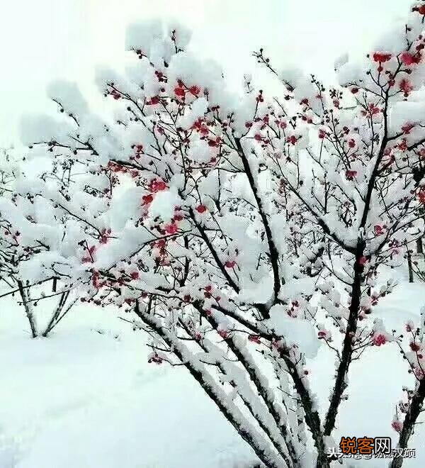 农村俗语“小雪不见雪,大雪满天飞”,你怎么理解？