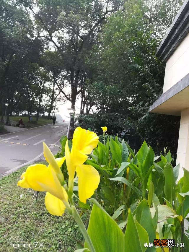 今日小雪节气到了,小雪下雪有啥说法？