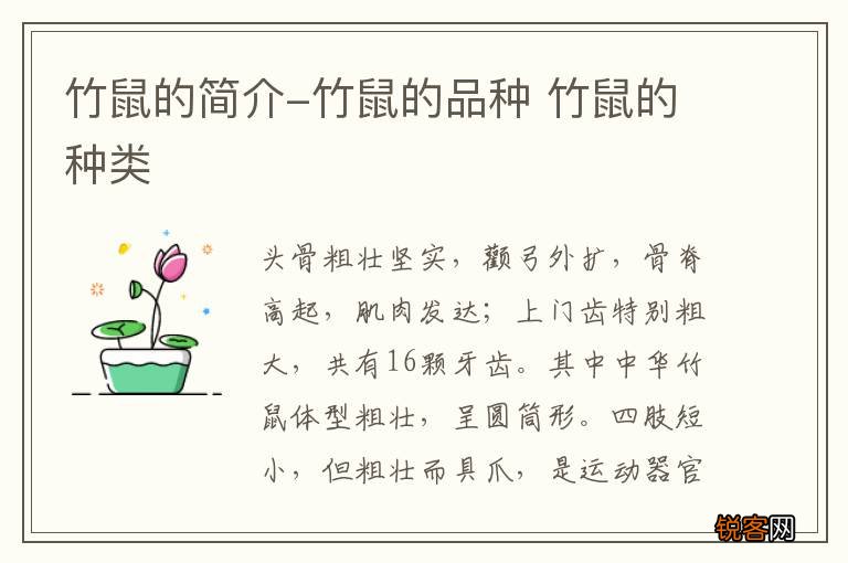 竹鼠的简介-竹鼠的品种 竹鼠的种类