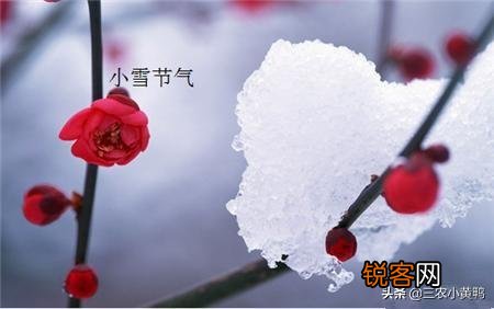 ”小雪”节气却下起了\＂小雨\＂你怎么看？