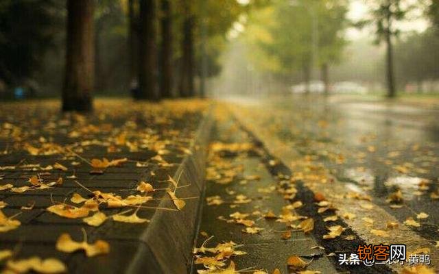 ”小雪”节气却下起了\＂小雨\＂你怎么看？