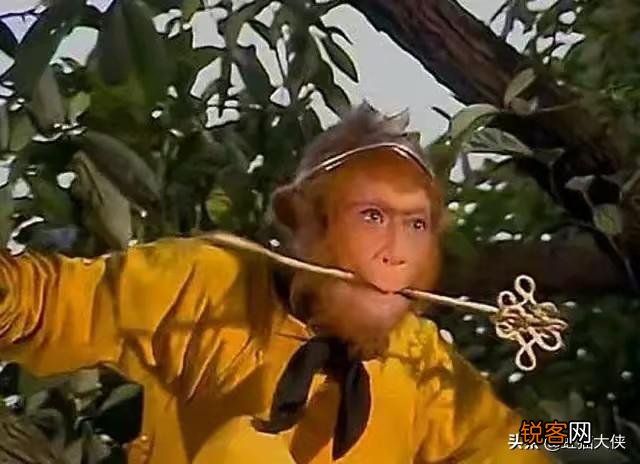 孙悟空几人在偷分人参果的时候,漏掉白龙马,究竟为何？