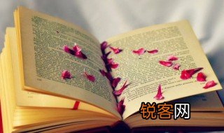 描写环境的优美句子 写环境优美句子集锦