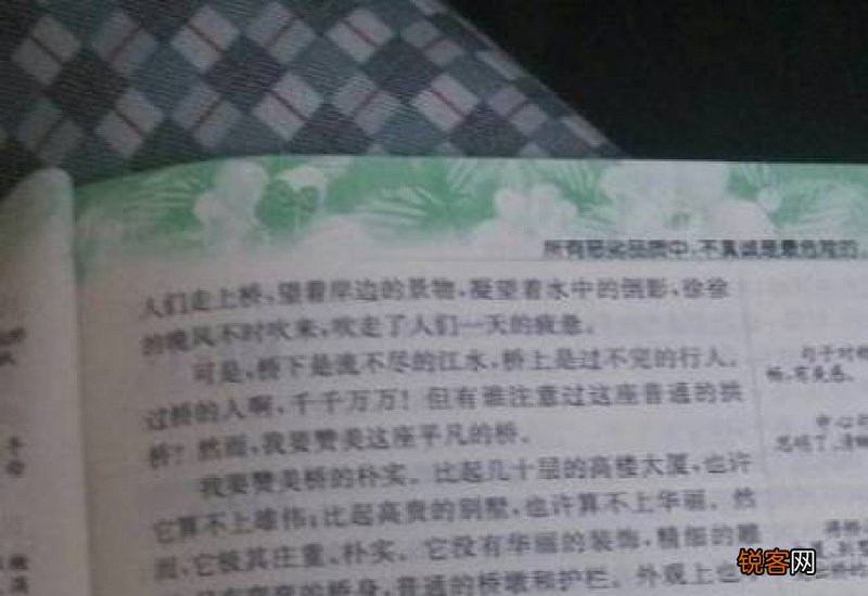 五年级植物的启示日记400字左右