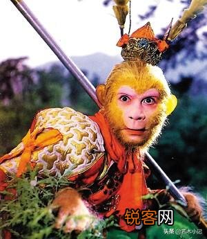 初读不识《西游记》,再闻已是取经人。为什么有的人再也无法爱上齐天大圣？