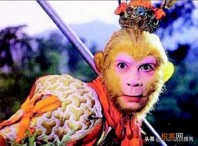 初读不识《西游记》,再闻已是取经人。为什么有的人再也无法爱上齐天大圣？