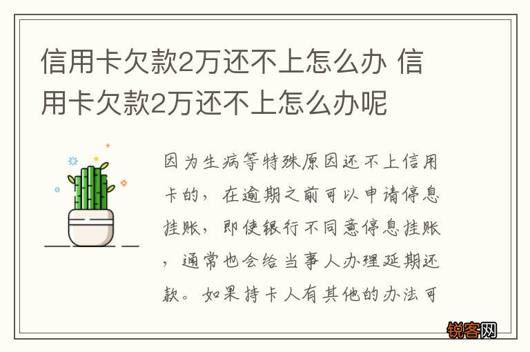 信用卡欠款2万还不上怎么办 信用卡欠款2万还不上怎么办呢