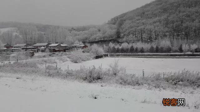 孔子说:＂父为子隐,子为父隐,直在其中也。＂是什么意思？