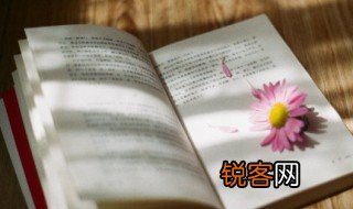 人物描写句子 描写人物的句子